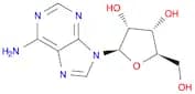 9-β-D-Ribofuranosyl-9H-purin-6-amine