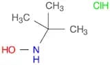 N-(tert-Butyl) hydroxylamine hydrochloride
