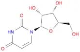 Uridine