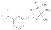 2-(TRIFLUOROMETHYL)PYRIDIN-4-YLBORONIC ACID PINACOL ESTER
