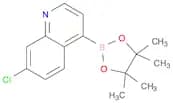 7-Chloro-4-(4,4,5,5-tetramethyl-1,3,2-dioxaborolan-2-yl)quinoline