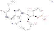 N-6,O-2'-Dibutyryladenosine cyclic 3',5'-monophosphate sodium salt