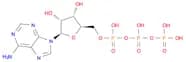 Adenosine triphosphate