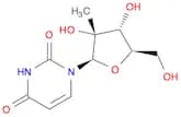 2'-C-Methyluridine
