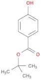 tert-Butyl 4-hydroxybenzoate