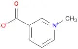 1-Methylpyridinium-3-carboxylate