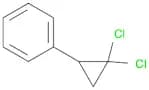(2,2-Dichlorocyclopropyl)benzene