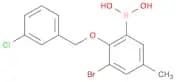 3-Bromo-2-(3'-chlorobenzyloxy)-5-methylphenylboronic acid
