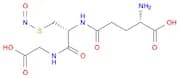 (S)-2-Amino-5-(((R)-1-((carboxymethyl)amino)-3-(nitrosothio)-1-oxopropan-2-yl)amino)-5-oxopentanoi…