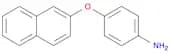 2-(4-aminophenoxy)naphthalene