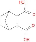 2,3-NORBORNANEDICARBOXYLIC ACID