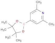 2,6-DIMETHYLPYRIDINE-4-BORONIC ACID, PINACOL ESTER