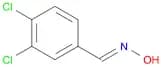3,4-Dichlorobenzaldehyde oxime
