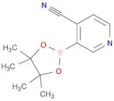 _x005F_x000D_4-Cyanopyridine-3-boronic Acid Pinacol Ester