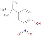 4-tert-Butyl-2-nitrophenol