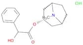 8-Methyl-8-azabicyclo[3.2.1]octan-3-yl 2-hydroxy-2-phenylacetate hydrochloride