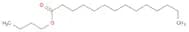 MYRISTIC ACID N-BUTYL ESTER