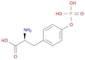 O-PHOSPHO-L-TYROSINE