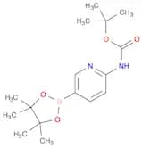 2-(tert-butoxycarbonylamino)pyridine-5-boronic acid, pinacol ester
