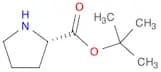 H-Pro-OtBu