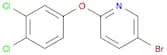 5-BROMO-2-(3,4-DICHLOROPHENOXY)-PYRIDINE