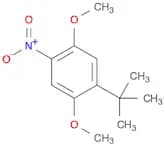 Benzene, 1-(1,1-dimethylethyl)-2,5-dimethoxy-4-nitro-