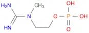 2-(1-Methylguanidino)ethyl dihydrogen phosphate