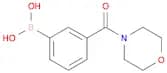 N-MORPHOLINYL 3-BORONOBENZAMIDE