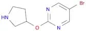 5-BROMO-2-(PYRROLIDIN-3-YLOXY)PYRIMIDINE