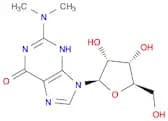 N,N-Dimethylguanosine