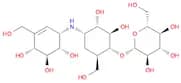 Validamycin