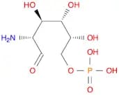 D-Glucosamine 6-phosphate