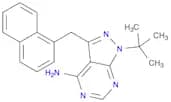 PP1 Analog II, 1NM-PP1