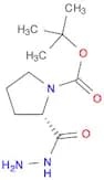 (S)-tert-Butyl 2-(hydrazinecarbonyl)pyrrolidine-1-carboxylate