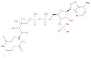 acetyl coenzyme a trilithium salt