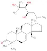 Piscidil A