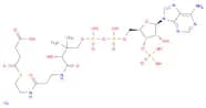 SUCCINYL COENZYME A SODIUM SALT