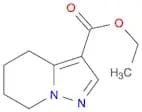 ethyl 4,5,6,7-tetrahydropyrazolo[1,5-a]pyridine-3-carboxylate