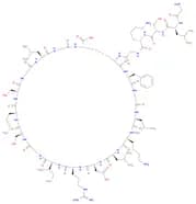 C-TYPE NATRIURETIC PEPTIDE (32-53) (HUMAN, PORCINE, RAT)