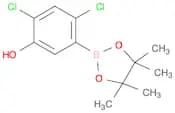 2,4-Dichloro-5-(4,4,5,5-tetramethyl-1,3,2-dioxaborolan-2-yl)phenol