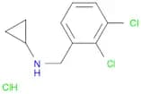 N-(2,3-dichlorobenzyl)cyclopropanamine hydrochloride