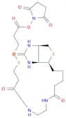 BIOTIN DISULFIDE N-HYDROXY-SUCCINIMIDE ESTER