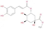 3-O-Caffeoylquinic acid methyl ester