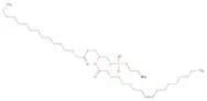 1-palmitoyl-2-oleoylphosphatidylethanolamine