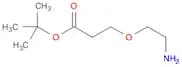 Amino-PEG1-t-Butyl ester