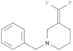 1-benzyl-3-(difluoroMethylene)piperidine