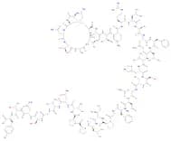 Pramlintide
