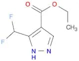 ETHYL 3-(DIFLUOROMETHYL)-1H-PYRAZOLE-4-CARBOXYLATE