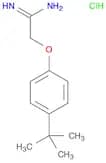 2-[4-(TERT-BUTYL)PHENOXY]ETHANIMIDAMIDE HYDROCHLORIDE