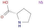 L-Proline sodiuM salt